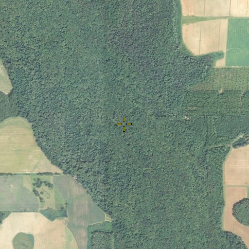 Aerial/Satellite Image of Buck Creek, FL