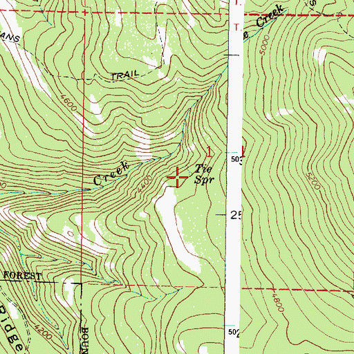 Topographic Map of Tie Spring, OR