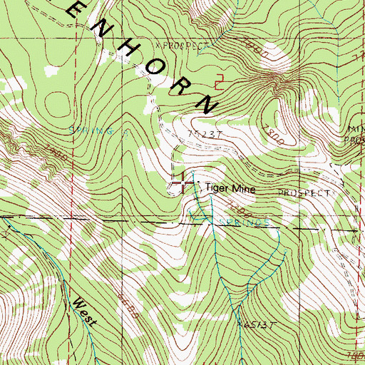 Topographic Map of Tiger Mine, OR