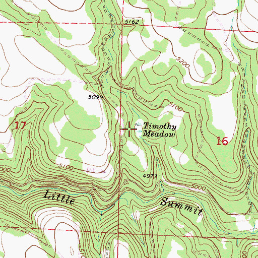 Topographic Map of Timothy Meadow, OR