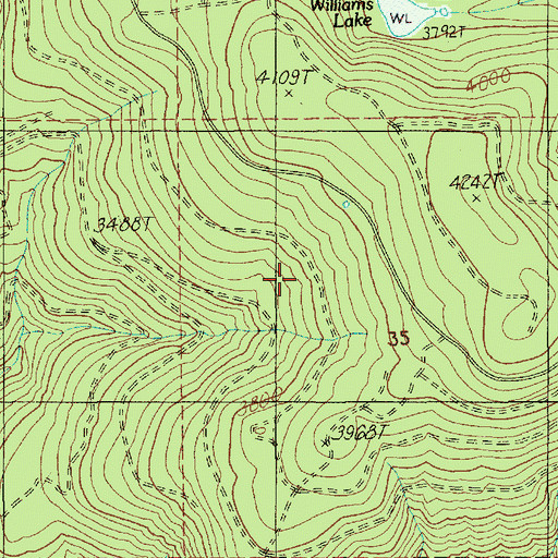 Topographic Map of Timothy Patch, OR