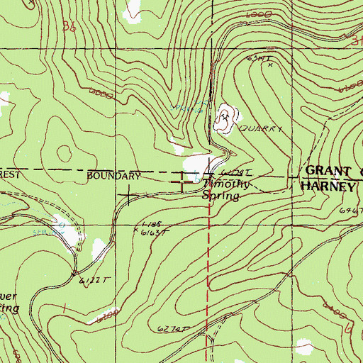 Topographic Map of Timothy Spring, OR