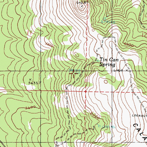 Topographic Map of Tin Can Spring, OR