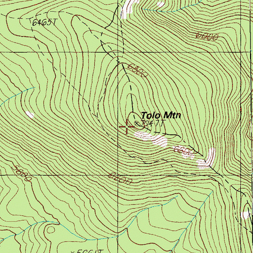 Topographic Map of Tolo Mountain, OR