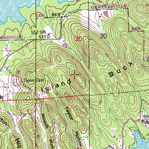 Topographic Map of Buck Island, AL