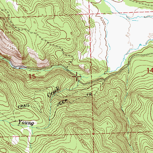 Topographic Map of Tom Young Creek, OR