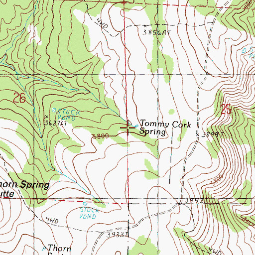 Topographic Map of Tommy Cork Spring, OR