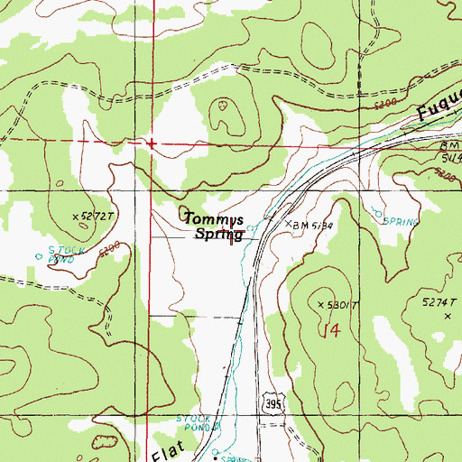 Topographic Map of Tommys Spring, OR