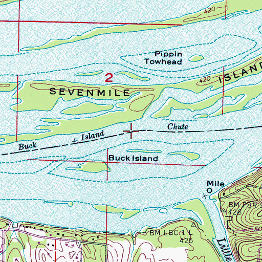 Topographic Map of Buck Island Chute, AL