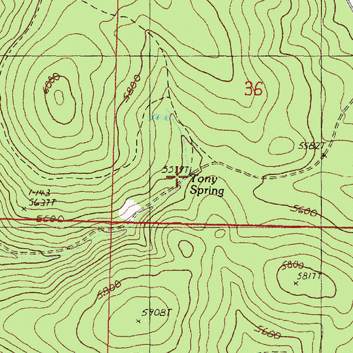 Topographic Map of Tony Spring, OR