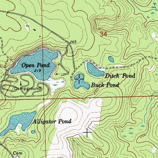 Topographic Map of Buck Pond, AL