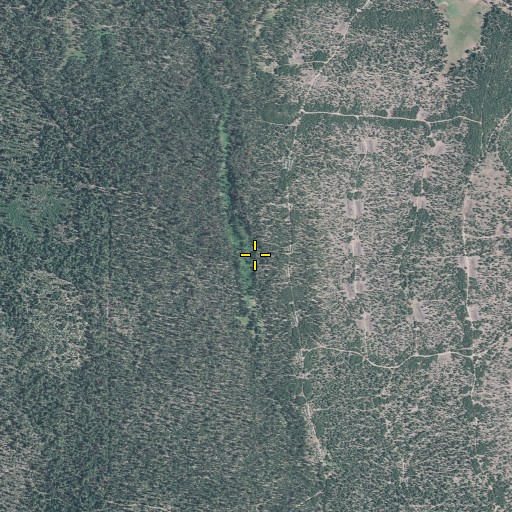 Aerial/Satellite Image of Trapper Spring, OR