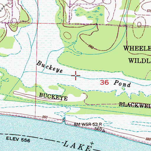 Topographic Map of Buckeye Pond, AL