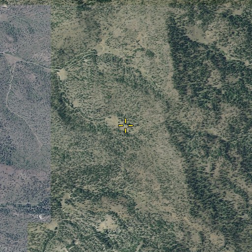 Aerial/Satellite Image of Tree Root Spring, OR