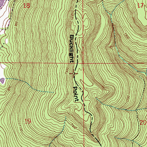 Topographic Map of Bucklight Point, AL