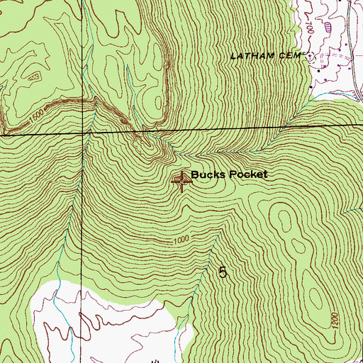Topographic Map of Bucks Pocket, AL