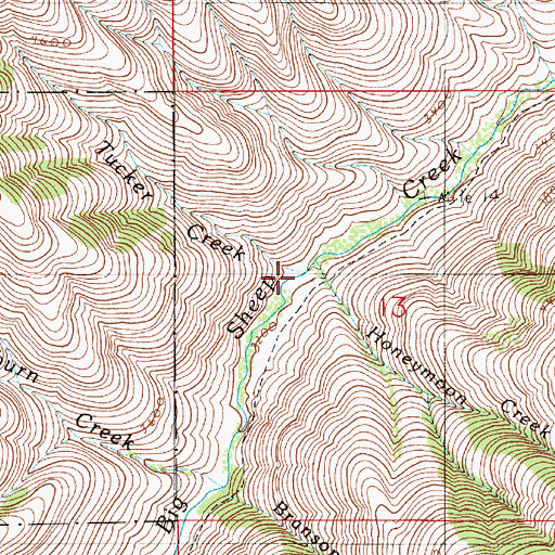 Topographic Map of Tucker Creek, OR
