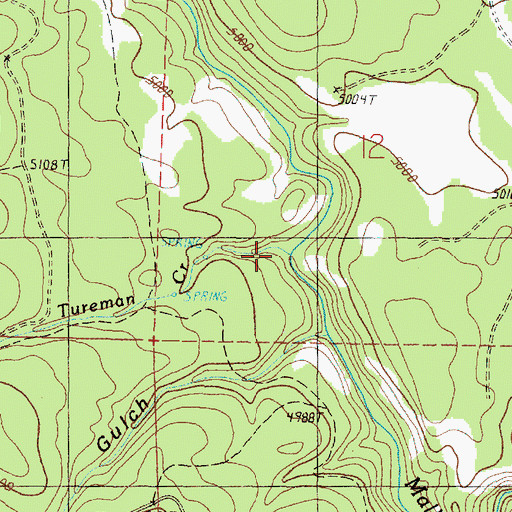 Topographic Map of Tureman Creek, OR