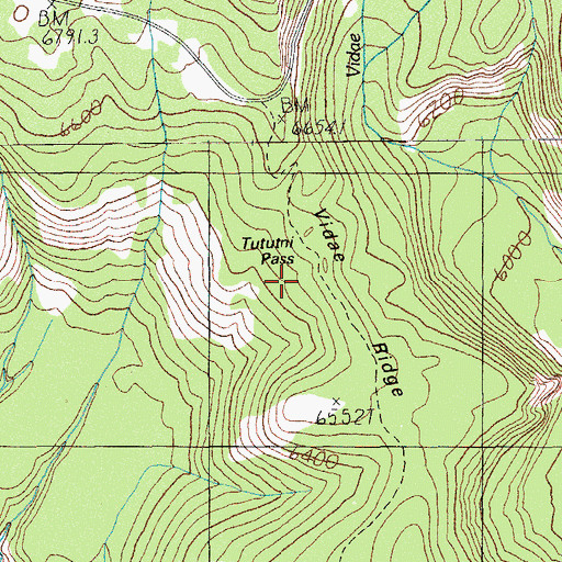 Topographic Map of Tututni Pass, OR