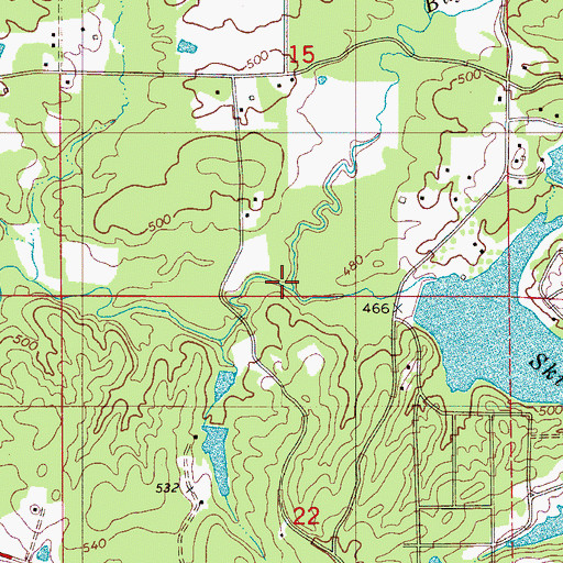 Topographic Map of Buffalo Creek, AL