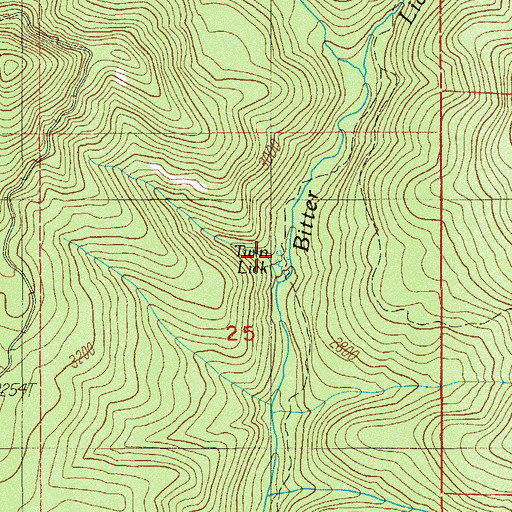 Topographic Map of Twin Lick, OR