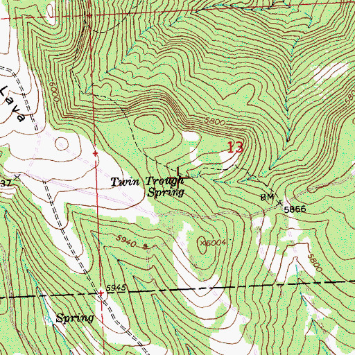 Topographic Map of Twin Trough Spring, OR