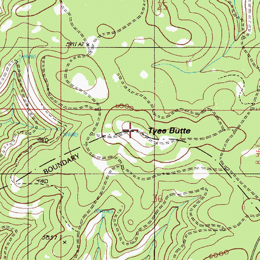 Topographic Map of Tyee Butte, OR