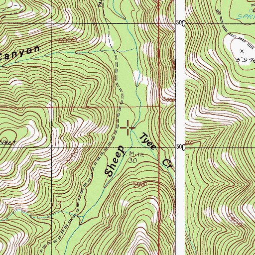 Topographic Map of Tyee Creek, OR