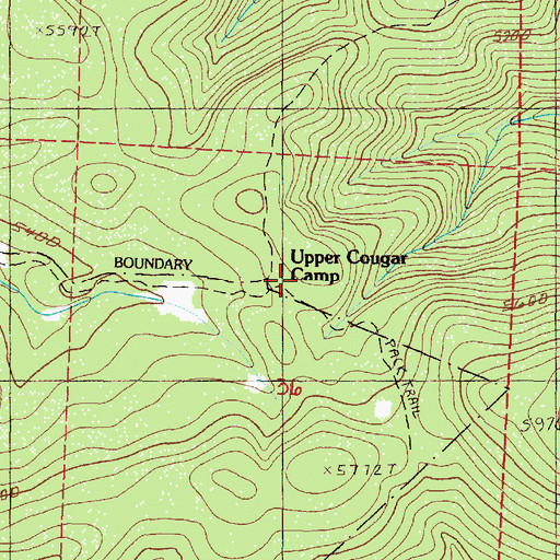 Topographic Map of Upper Cougar Camp, OR