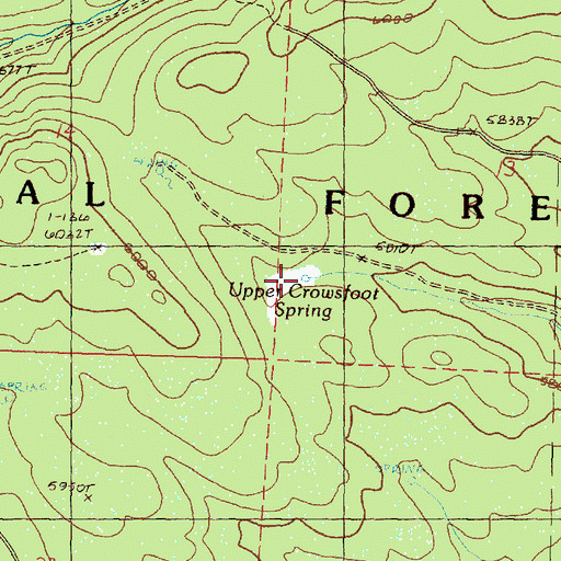 Topographic Map of Upper Crowsfoot Spring, OR