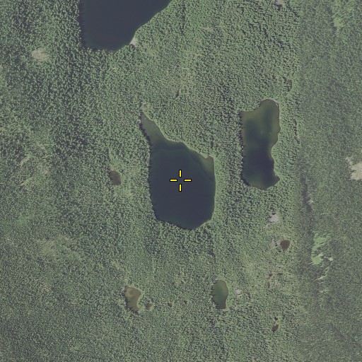 Aerial/Satellite Image of Upper Eddeeleo Lake, OR