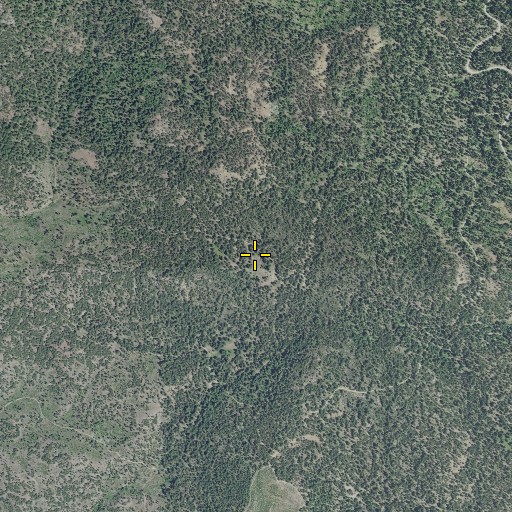 Aerial/Satellite Image of Upper Ray Spring, OR