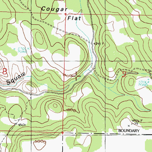 Topographic Map of Van Gulch, OR