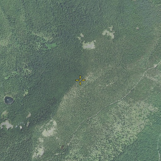 Aerial/Satellite Image of Veda Butte, OR