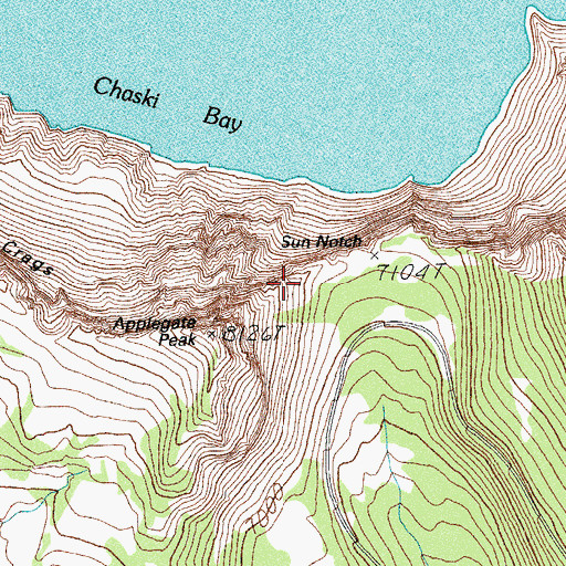 Topographic Map of Vidae Cliff, OR