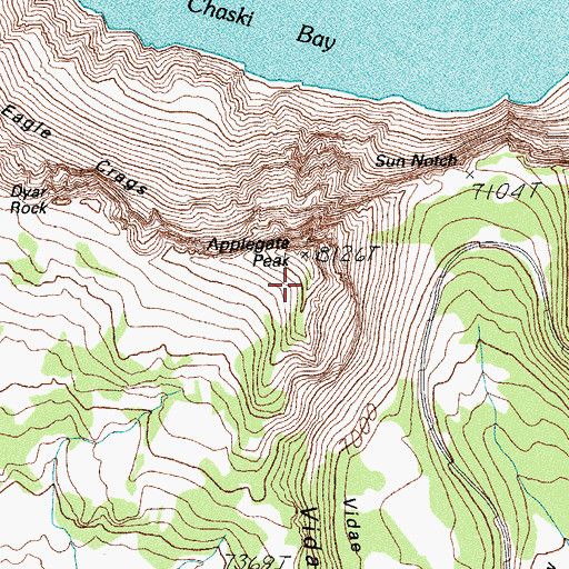 Topographic Map of Vidae Ridge, OR
