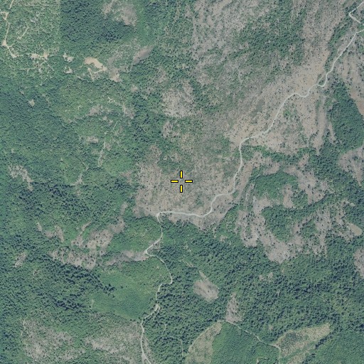 Aerial/Satellite Image of Waldo Hill, OR