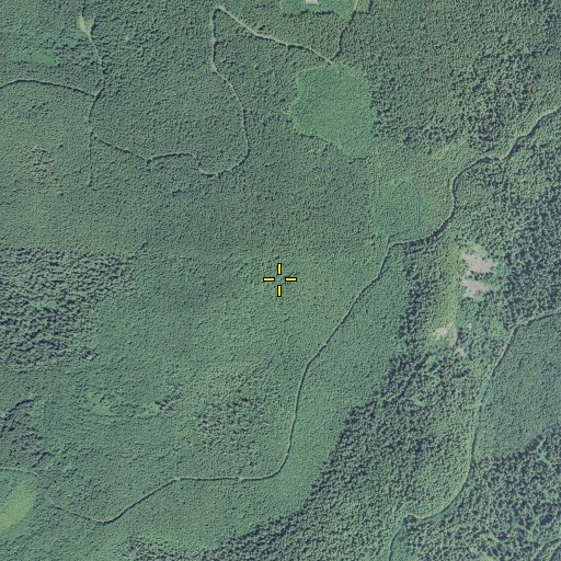 Aerial/Satellite Image of Walker Peak, OR