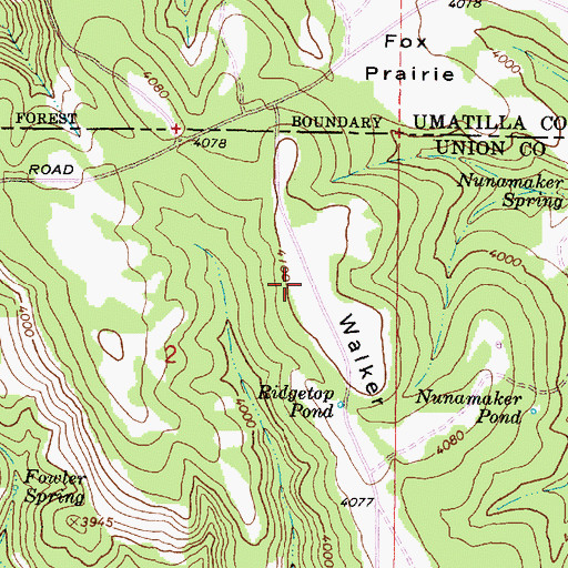 Topographic Map of Walker Ridge, OR