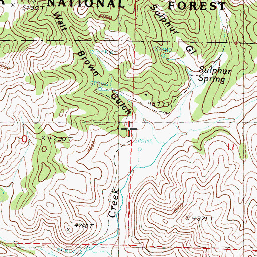 Topographic Map of Walt Brown Gulch, OR