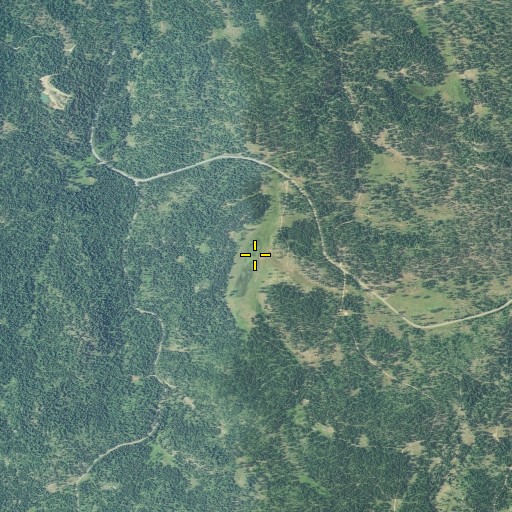 Aerial/Satellite Image of Wassen Meadows, OR