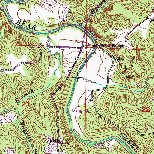 Topographic Map of Bullock Branch, AL