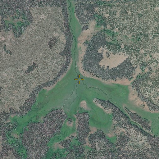 Aerial/Satellite Image of Watson Creek, OR