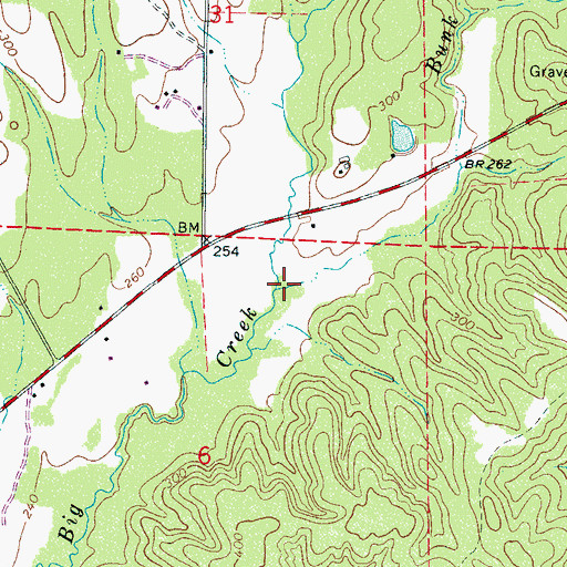 Topographic Map of Bunk Branch, AL