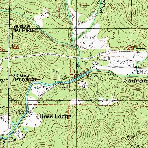 Topographic Map of West Fork Salmon River, OR