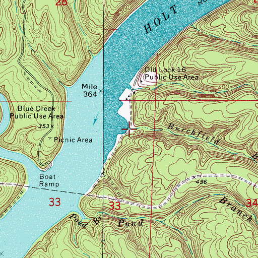 Topographic Map of Burchfield Branch, AL