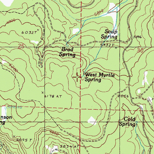 Topographic Map of West Myrtle Spring, OR