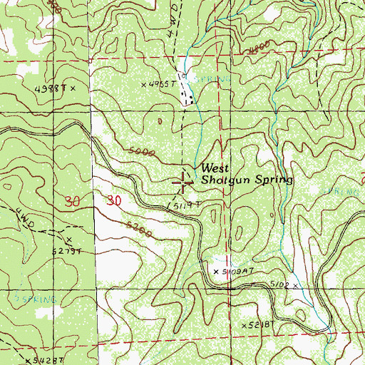 Topographic Map of West Shotgun Spring, OR