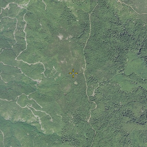 Aerial/Satellite Image of Wests Mine, OR