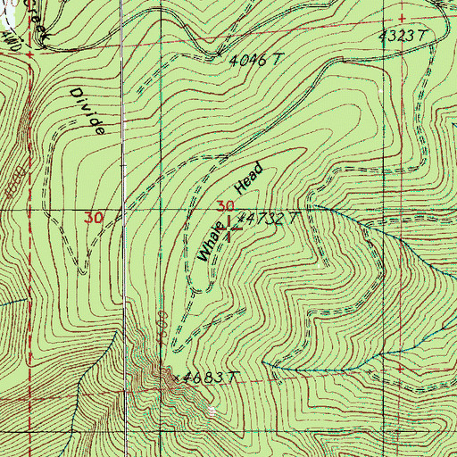 Topographic Map of Whale Head, OR